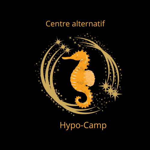 Centre alternatif hypo-camp